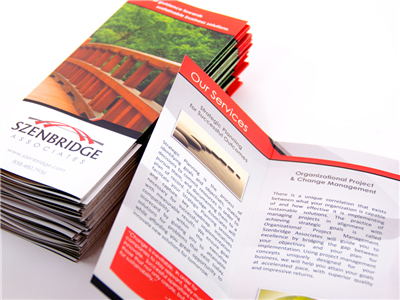 ZingSummit Premium Brochures