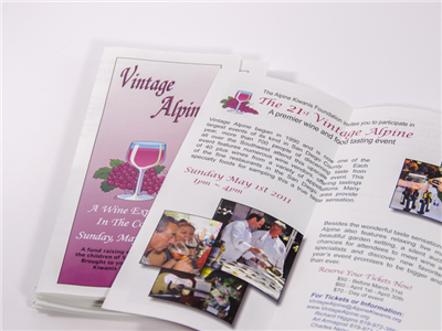 ZingSustain Eco Brochures
